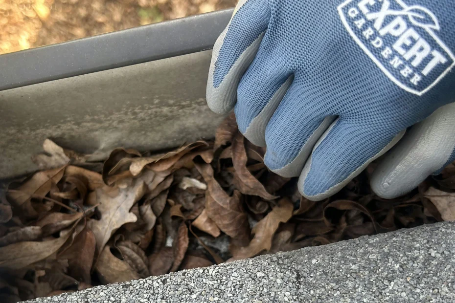 Gutter Cleaning Greensboro NC